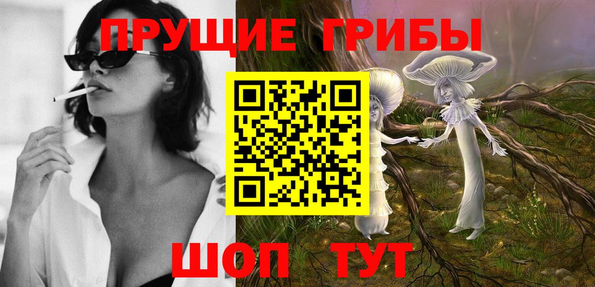 Псилоцибиновые грибы Psilocybine cubensis Красноярск
