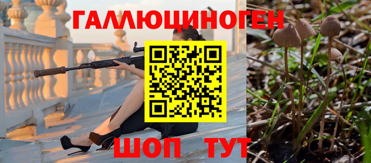 Галлюциногенные грибы прущие грибы  Псилоцибиновые грибы Psilocybe  магазин продажи наркотиков  Красноярск  Вход с VPN 